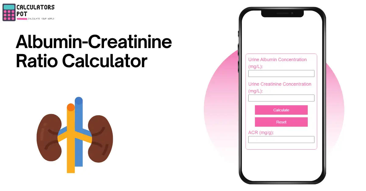 Albumin-creatinine Ratio Calculator - Calculatorspot