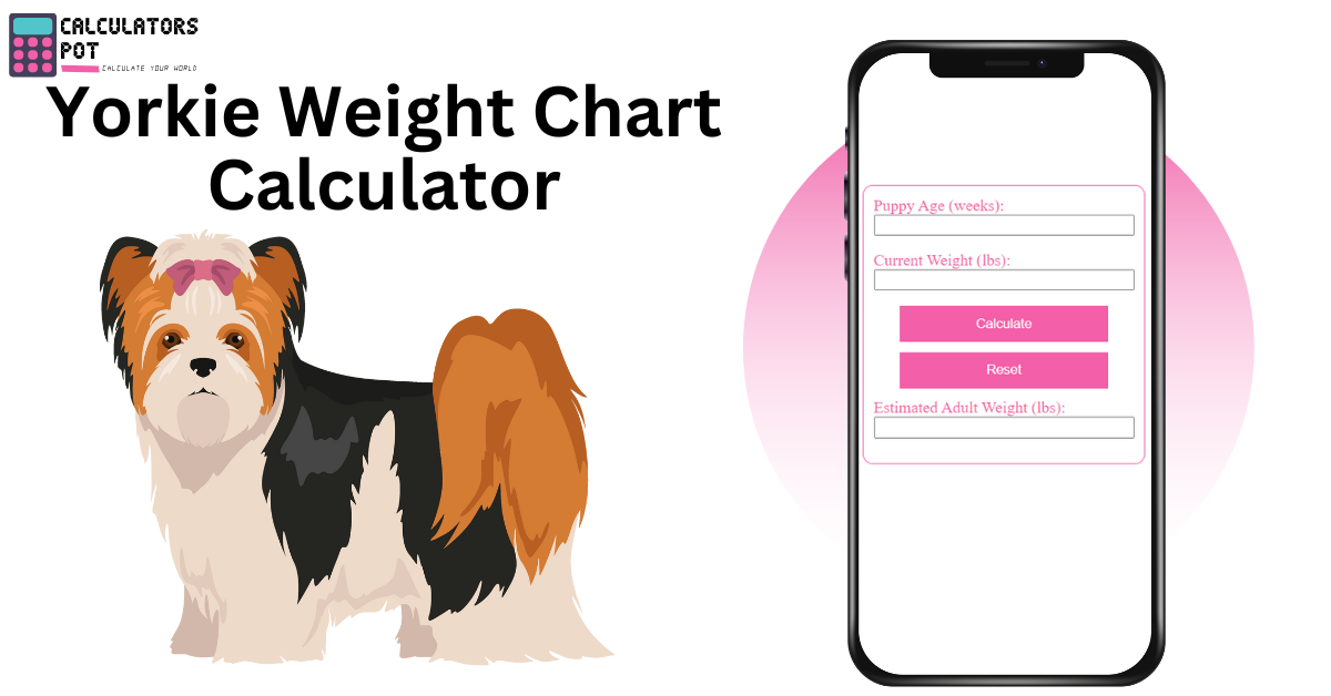 Yorkie Weight Chart Calculator