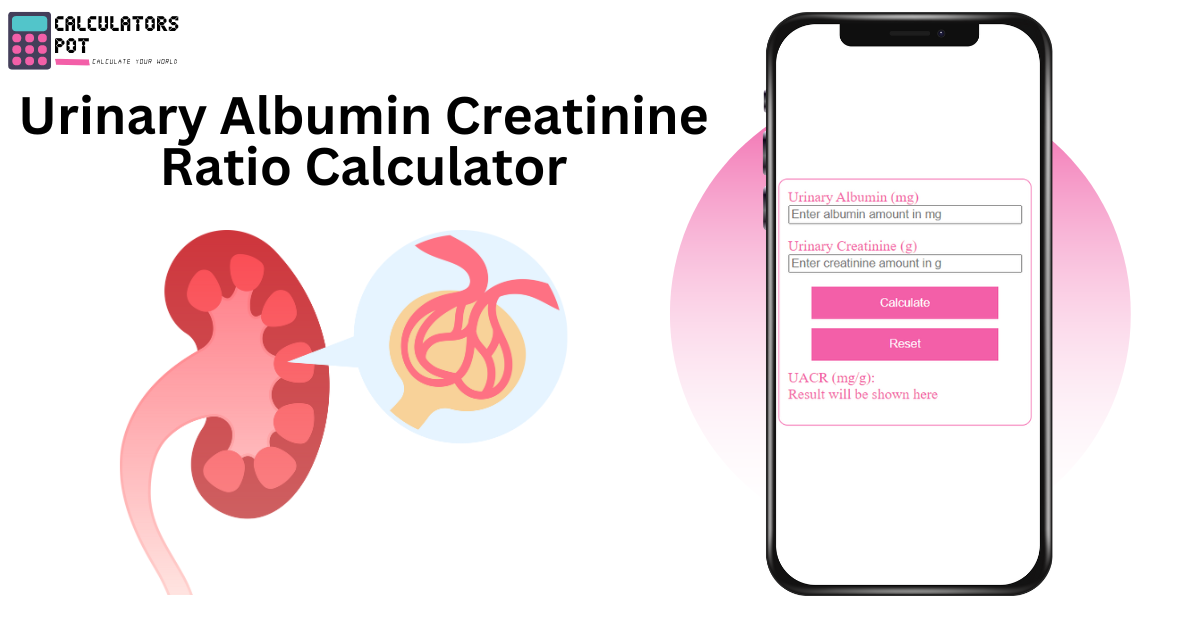 Urinary Albumin Creatinine Ratio Calculator