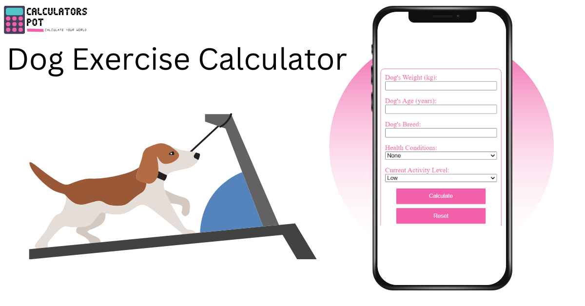 Dog Exercise Calculator